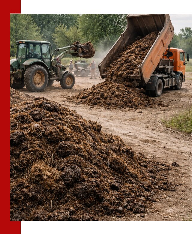 Доставка навоза самосвалами в Лобне для сельхозпотребностей